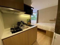 Orchard Road (D9), Condominium #466050581